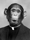 chimp reverend.jpg