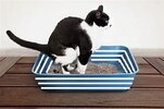 Cats litter tray.jpg