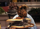 alf-cat.png