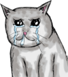 crying_cat_meme____by_gordonjugah_ddv75vl-fullview.png