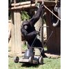 chimp-lawnmower_1869371i.jpg