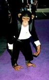 chimp tux.jpg