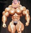 1 muscle.jpg