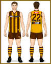 Hawks Kit 2025 Puma.png