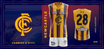 Newcastle BlueHawks Merger 2.png