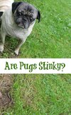 pug stink.jpg