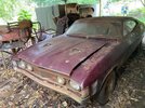 Grays 4_21 XA GT coupe Barn Find 02.jpg