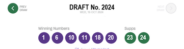 2024 Draft 1.png