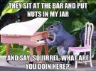 Squirrely-Joel-1729382489693.jpg