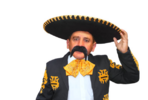 TiF mexican.png