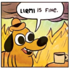 lirmi_is_fine.png