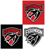 Essendon logo.png