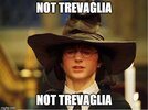 trevaglia.jpg