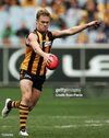 melbourne-australia-sam-mitchell-of-the-hawks-in-action-during-the-round-fourteen-afl-match.jpg