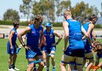 Bulldogs_training_Ballarat_05.JPG