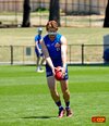 Bulldogs_training_Ballarat_15.JPG