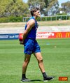 Bulldogs_training_Ballarat_19.JPG