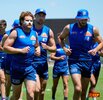 Bulldogs_training_Ballarat_27.JPG