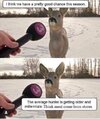 DEER.jpg