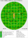 Cricket_fielding_positions2.svg.png