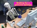 apology.jpg