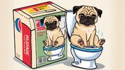 Postage box with label Pug dog potty with a pic of a pug peeing sitting on baby toilet seat .jpeg