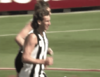 daicos.png