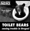 WWN-toilet-bears.jpg