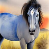 My Blue Roan - no ears.png