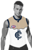 Carlton 2014 Chamois.png