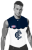 Carlton 2014 Chamois2.png