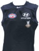 Carlton realistic guernsey.png