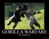 Gorilla+warfare+_7801787b6473b0f8fe588d7c08627b1a.jpg