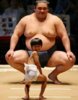 [davidkanigan.com] sumo-wrestler-funny-cute [e].jpg