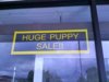 huge-puppy-sale.jpg