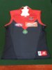 2012 Jim Stynes Tribute Player Issue Front Kelvin Lawrence.JPG