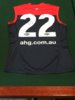 2015 Home Player Issue back Viv Michie.JPG