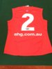 2015 Red Clash Player Issue back Nathan Jones.JPG