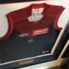 Framed 2012 Jim Stynes Tribute Player Issue Lyndon Dunn.JPG