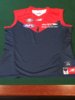 n 2016 ANZAC Jumper Player Issue Front #22 Viv Michie & #46 Dean Terlich.JPG