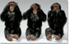 three monkeys.png