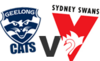 geelong-vs-sydney-100h.png