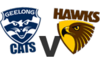 geelong-vs-hawthorn-100h.png