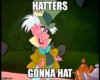 hatter meme.jpeg