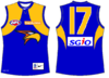 West Coast Eagles Nike Away.png