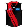 melb ren afl front copy.png