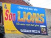 Lions Pic.jpg