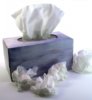 tissues-937x1024.jpg