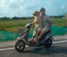 Dog-Driving-Scooter.jpg