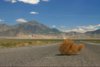 tumbleweed-1.jpg